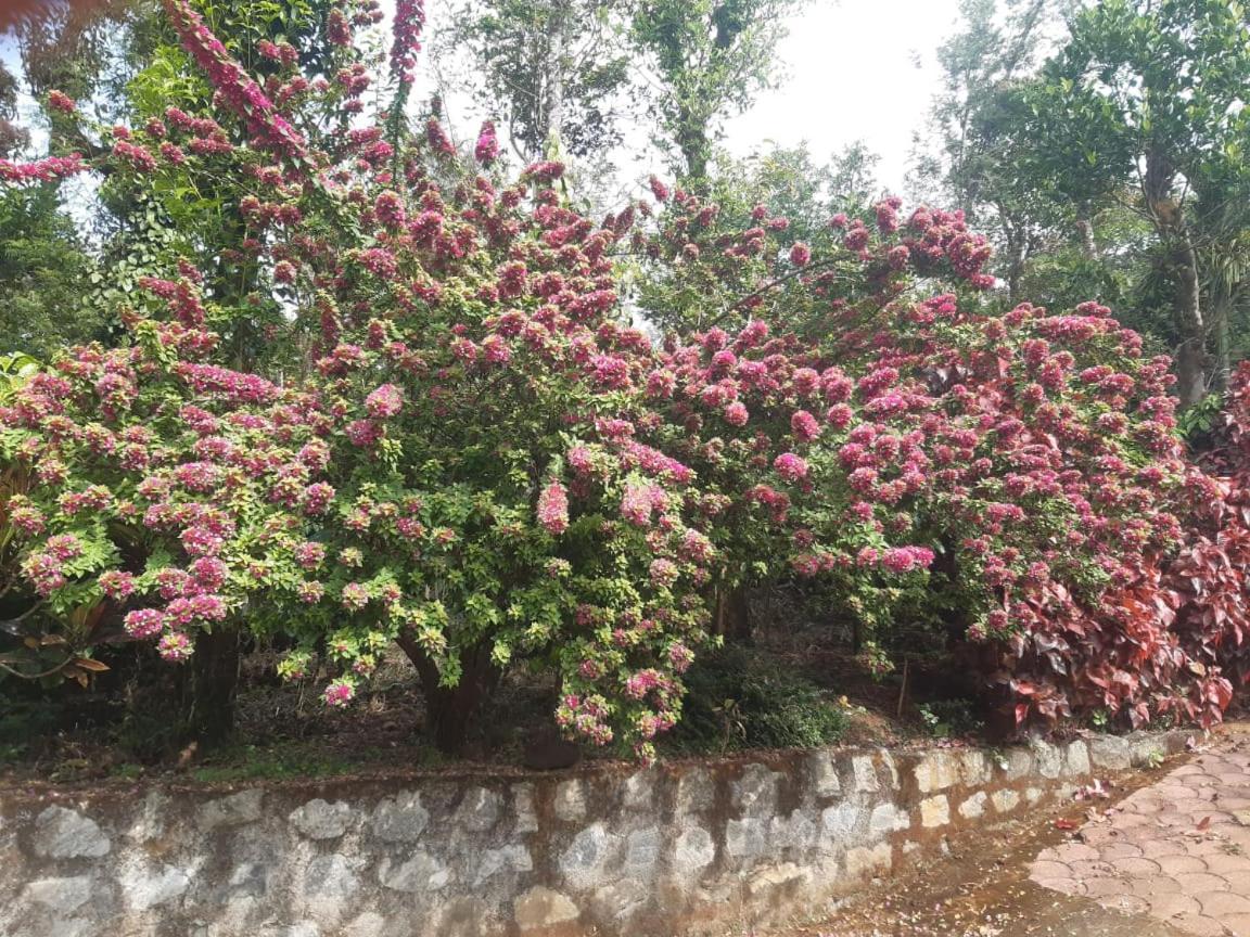 Somvārpet Athena Homestay מראה חיצוני תמונה
