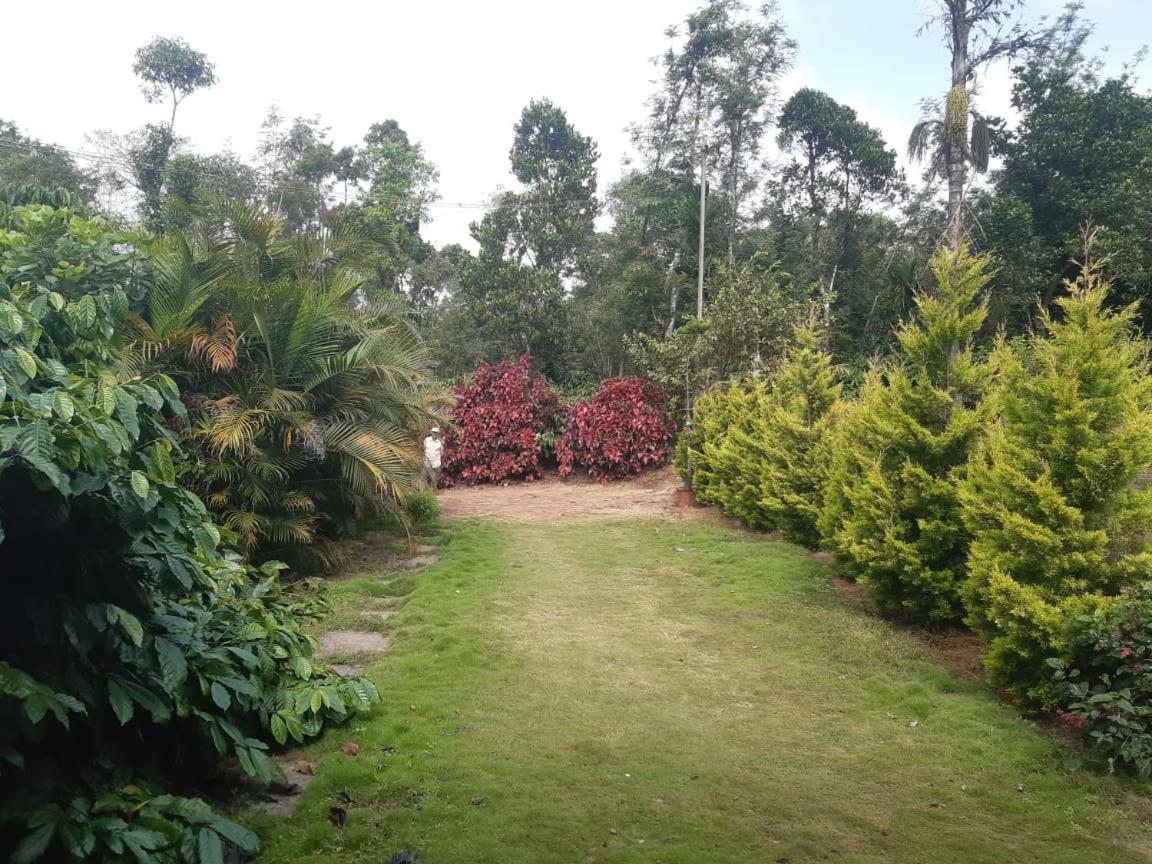 Somvārpet Athena Homestay מראה חיצוני תמונה