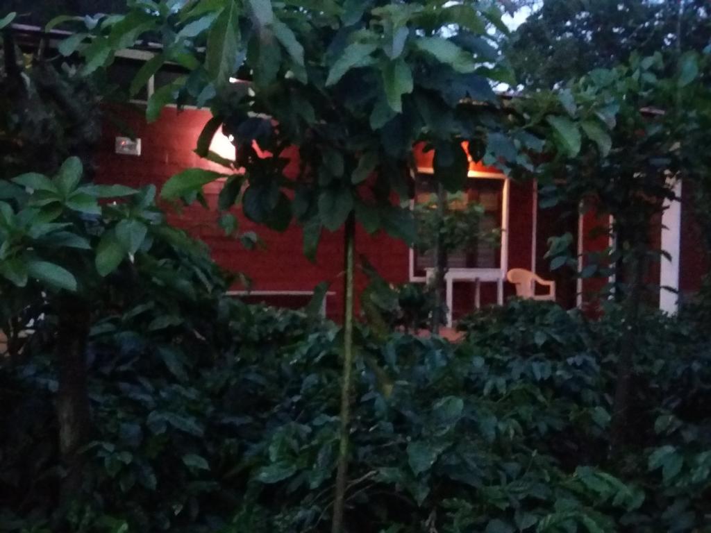 Somvārpet Athena Homestay מראה חיצוני תמונה